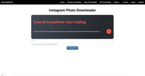 downloadgram ig - elchoricharrua.com