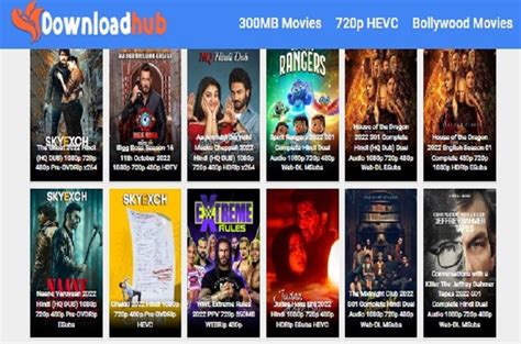 downloadhub 300mb movies - elchoricharrua.com