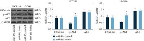downstream crc - elchoricharrua.com