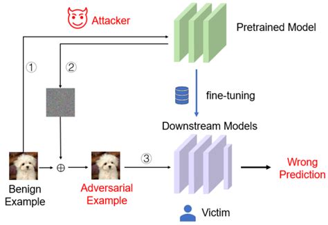 Downstream Transfer Attack: Adversarial Attacks on Downstream Models ... - coolestguyplanet.net