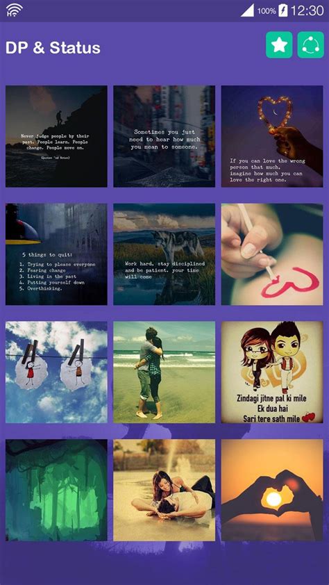 dp status - elchoricharrua.com