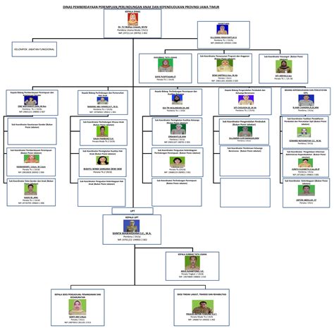 dp3ak - elchoricharrua.com