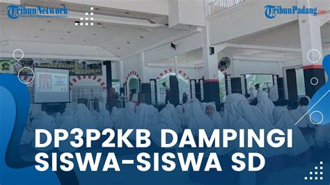 dp3p2kb - elchoricharrua.com