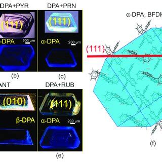 dpa artinya - elchoricharrua.com