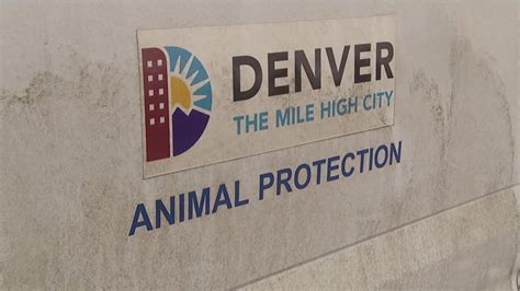 DPD: Denver Animal Protection vehicle stolen near Federal Boulevard