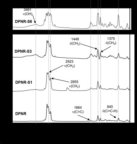 dpnr - elchoricharrua.com