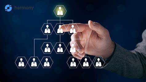 dpo organisasi adalah - elchoricharrua.com