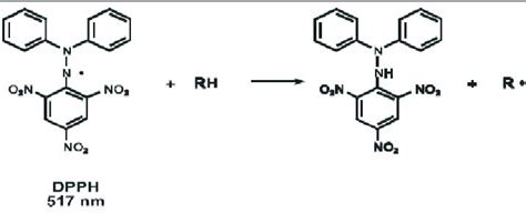 dpph adalah - elchoricharrua.com