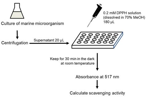 dpph - elchoricharrua.com