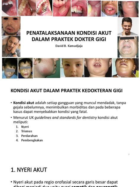 dr buntoro - elchoricharrua.com