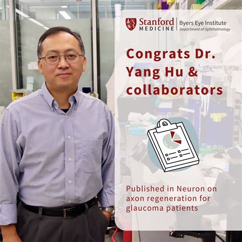 Dr Hu Yang - Understanding Circulation Changes in … - raincitystudios.com