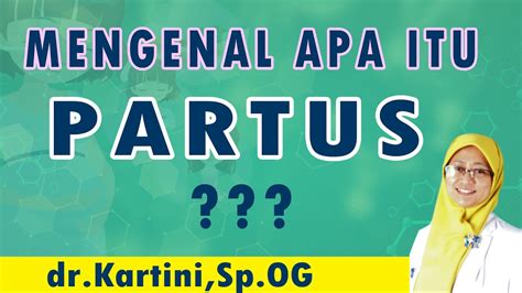 dr kartini spog - elchoricharrua.com