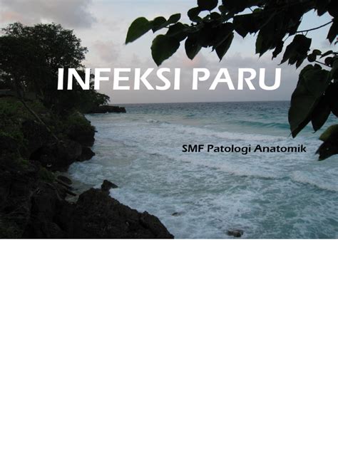 dr resti - elchoricharrua.com