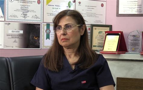 dr yasa - elchoricharrua.com