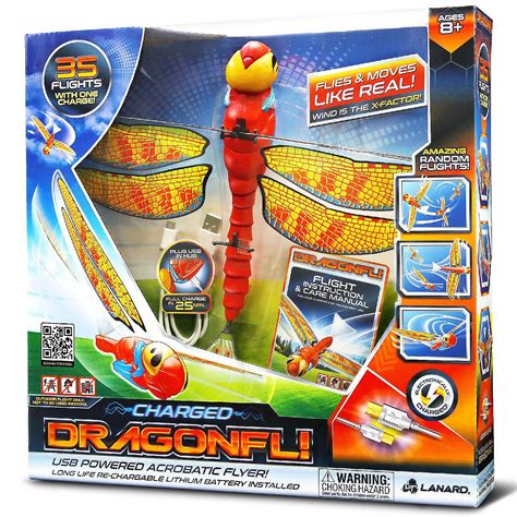 dragonfly 8 - elchoricharrua.com