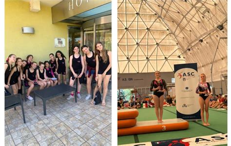 dragonfly gym - elchoricharrua.com