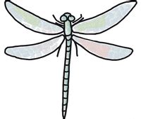 dragonfly indonesia tts - elchoricharrua.com