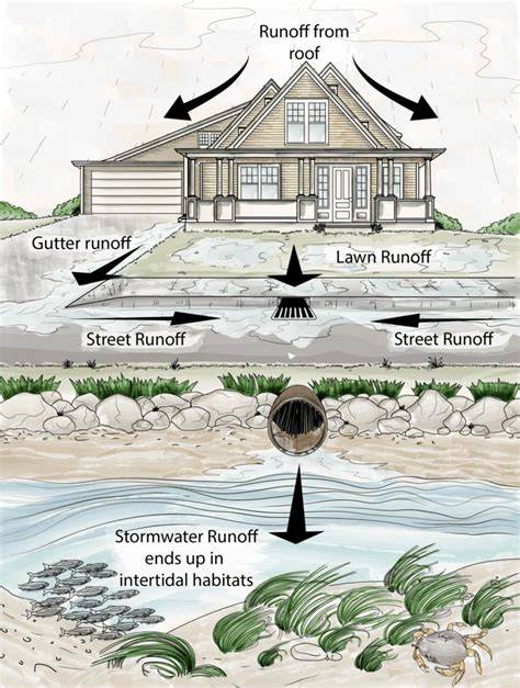 Drain Solutions 10 Ways To Manage Runoff Water - raincitystudios.com