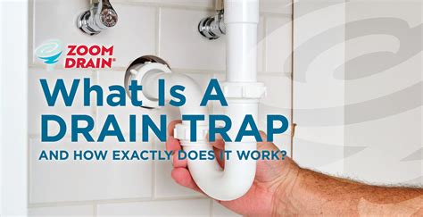 drain trap - elchoricharrua.com