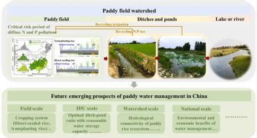 Drainage optimization of paddy field watershed for diffuse phosphorus ... - wintechmobiles.com