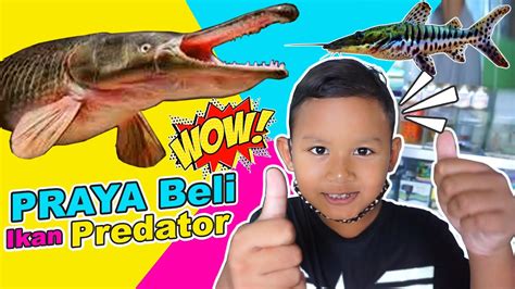 drama praya - elchoricharrua.com