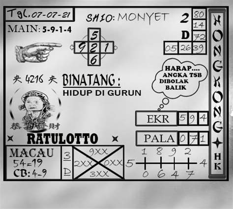 draw singapore pools - elchoricharrua.com