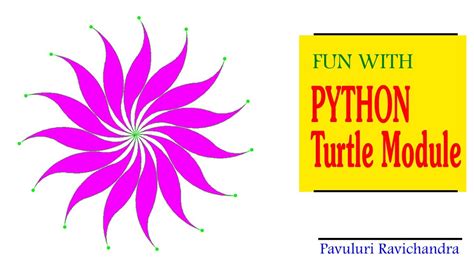 DRAWING CURVED SHAPE FLOWER IN PYTHON TURTLE MODULE …