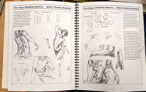 drawing manual pdf - elchoricharrua.com