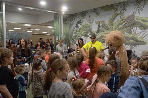 dream playground igraonica - elchoricharrua.com