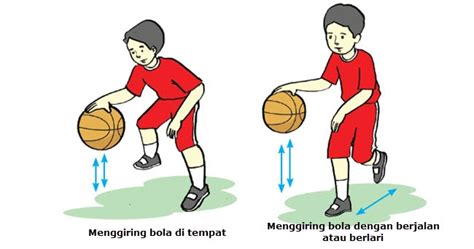 dribbling dalam bola basket adalah - elchoricharrua.com