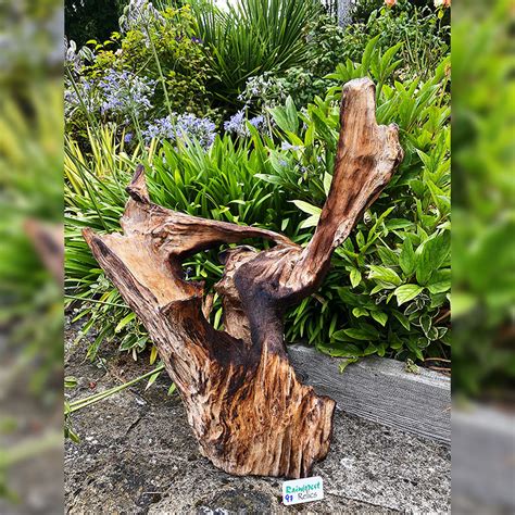 Driftwood Sculptures for garden and interior by Rainforest Relics ... - muktibox.com