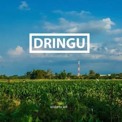 dringu - elchoricharrua.com