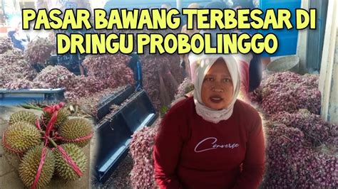 dringu probolinggo - elchoricharrua.com