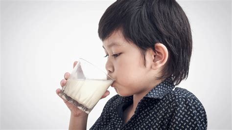 drinking artinya adalah - elchoricharrua.com