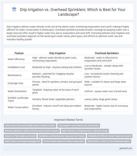 Drip Irrigation vs. Overhead Sprinklers - Sprinkler … - raincitystudios.com
