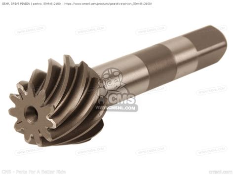 drive pinion gear - elchoricharrua.com