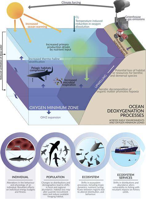 Drivers and mechanisms of ocean deoxygenation - Nature - raincitystudios.com