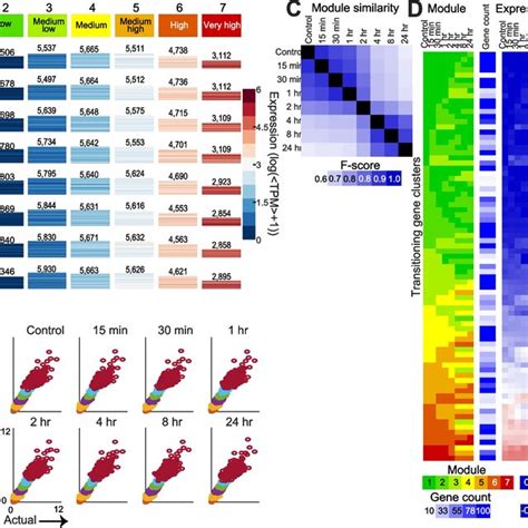 drmn - elchoricharrua.com