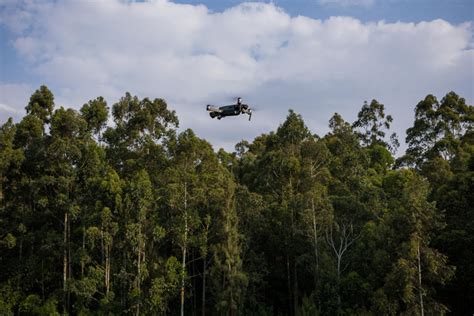 Drone untuk Konservasi Hutan & Lingkungan, Bisa Apa … - raincitystudios.com