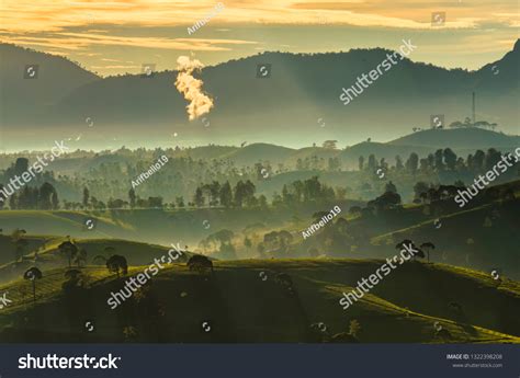 droplets bandung - elchoricharrua.com