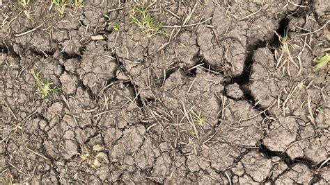 Drought greatly accelerates soil carbon losses - 8.9ha - raincitystudios.com
