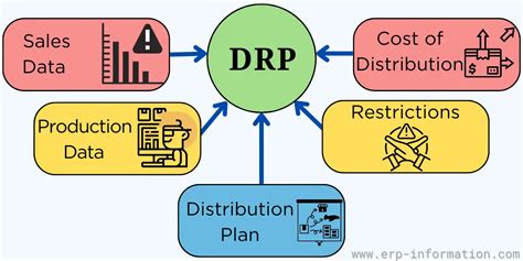 drp system - elchoricharrua.com