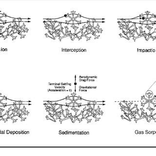 dry deposition artinya - elchoricharrua.com