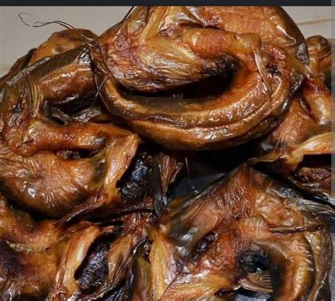 Dry fish v/s smoked fish - biologyjournal.in - wintechmobiles.com