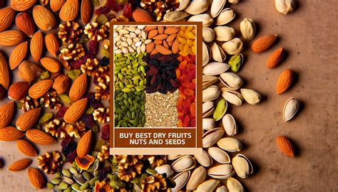 dry store - elchoricharrua.com