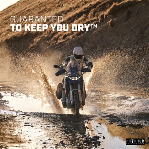 dryt - elchoricharrua.com