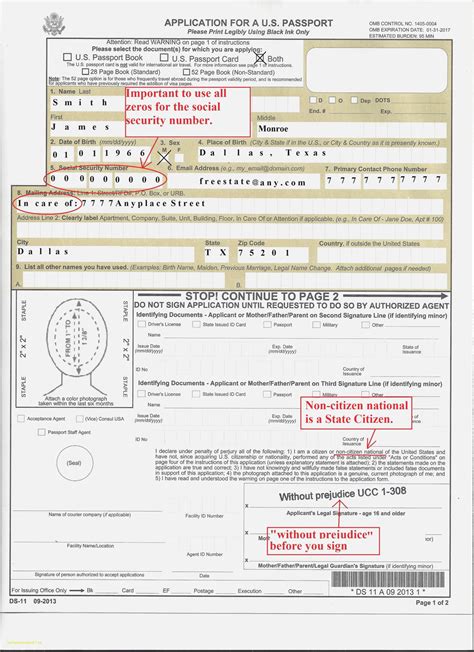 DS11 Form To Get Passport Printable Form 2022