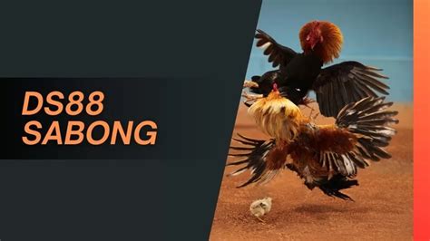 ds88 slot login - elchoricharrua.com