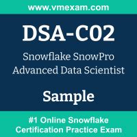 DSA-C02 Prüfungs Guide