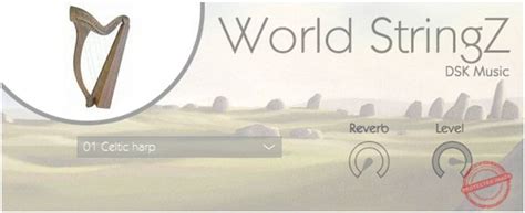 dsk string - elchoricharrua.com